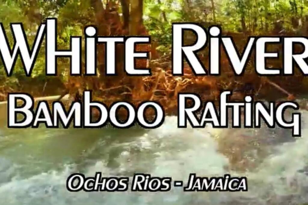Villa La Rosa With Spectacular View Of Ocho Rios Exteriör bild